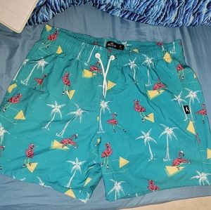 Hollister Swim Trunks